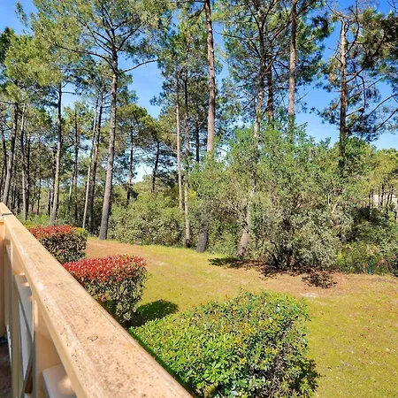 Les Pins - Maeva - 2 Pieces 4 Personnes - Selection Mae-5031 Apartmán Lacanau